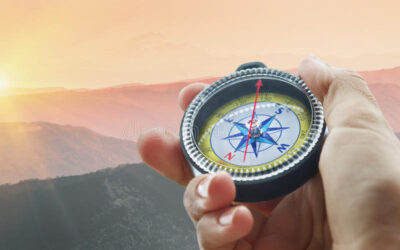 Living Your Values